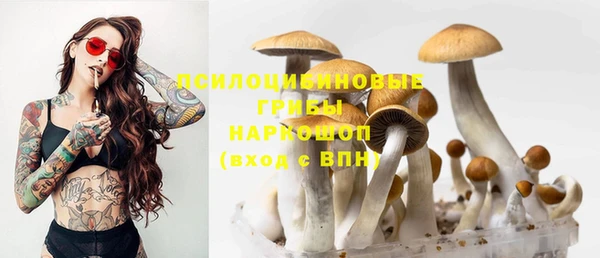 мдма Ельня