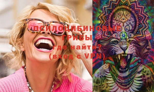 мдма Ельня