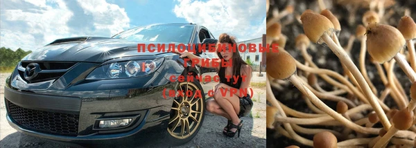 прущая мука Елизово