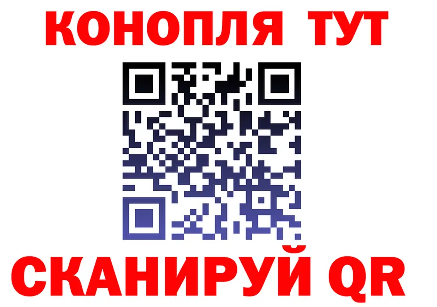 АМФ Premium маркетплейс площадка блэк спрут Заполярный